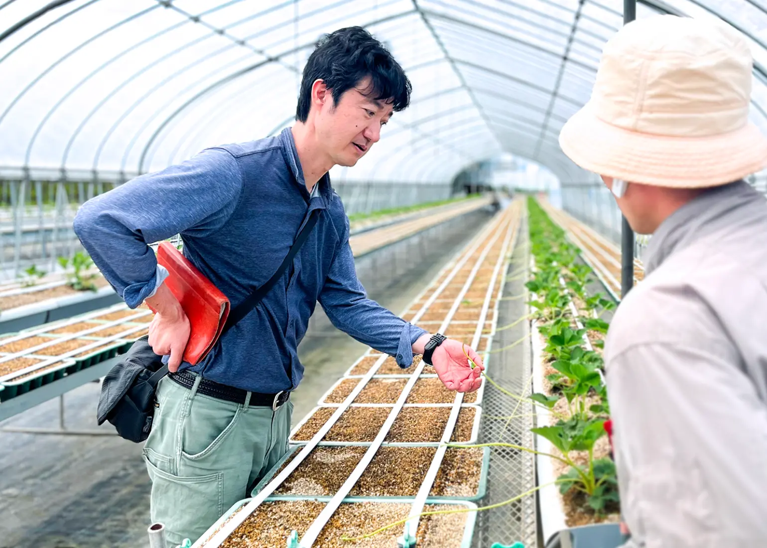 採用情報画像